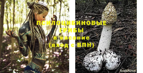 кокаин премиум Ельня
