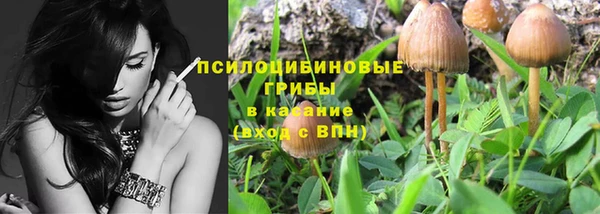 тгк Елизово